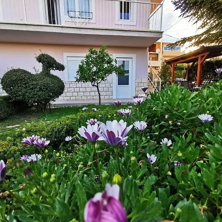 Leona * 스플리트